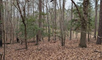 Lots B & C Miller Road, Camden, SC 29020