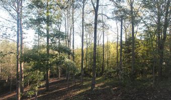 BATESVILLE RD lot 2, Afton, VA 22920
