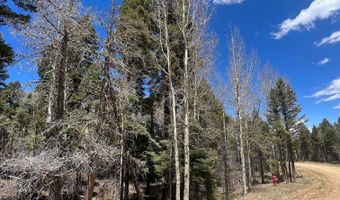 Lot 54 Vermejo Cir, Angel Fire, NM 87710