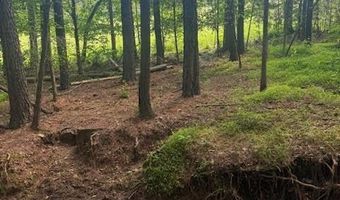 0- Lot 5 Piney Mountain Rd, Appomattox, VA 24522