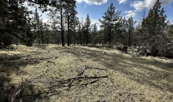 Widgeon Drive lot 3, Bonanza, OR 97623