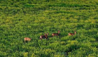 24030 County Rd 43.6, Aguilar, CO 81020
