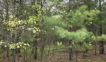 S Badger Lane lot 39, Arkdale, WI 54613