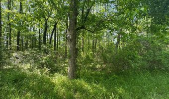 0001 Old Highway 471, Brandon, MS 39042