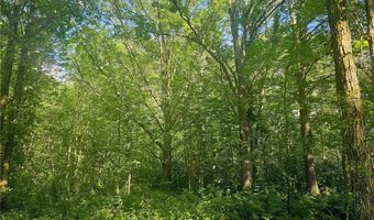 Parcel 3 Hwy 87, Backus, MN 56435