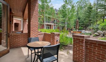 415 E Dean St. # 7 Week 30, Aspen, CO 81611