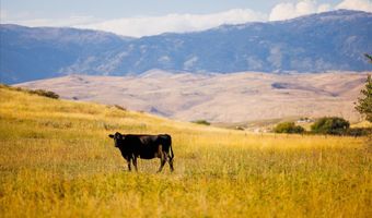 3127 US HWY 95, Cambridge, ID 83610