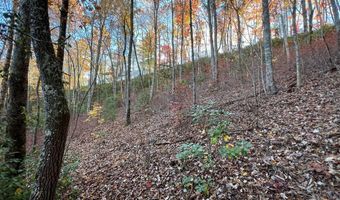 Musket Dr lot 66, Almond, NC 28702