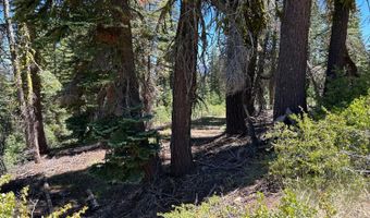 39 Liberty Rd, Arnold, CA 95223