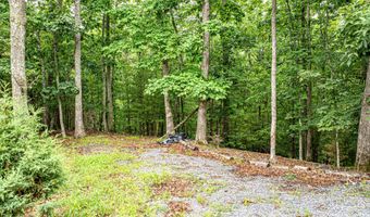 Wyldwood Road, Abingdon, VA 24211