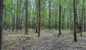 0 CR 3216, De Kalb, TX 75559