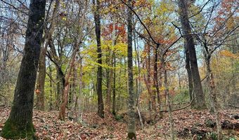 HWY 9, Bruce, MS 38915