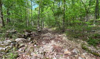 County Road 544, Bakersfield, MO 65609