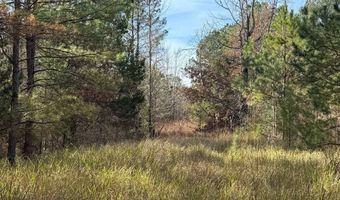 15548 Highway 15 N, Ackerman, MS 39735