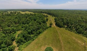 County Road 113, Alton, MO 65606