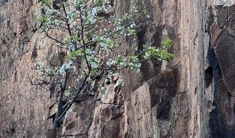 236 A Brewery Ave, Bisbee, AZ 85603