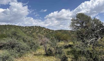 XY Black Dog Road, Silver City, NM 88061