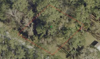 1915 ALICE Dr, Astor, FL 32102