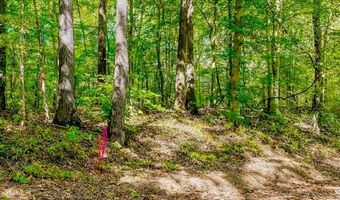 Bolestown Loop Lot 3, Alpine, TN 38543