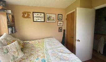 24707 Hwy 93, Challis, ID 83226