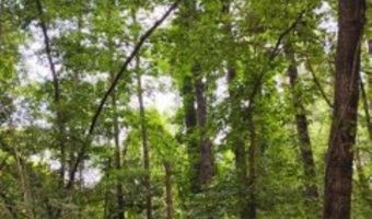 Double Pond Road, Blackville, SC 29817