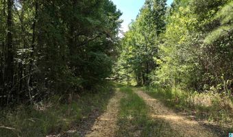 00 DOUGLAS Rd 4, Beaverton, AL 35544