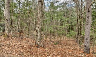 Wendy Drive lot 134-135, Alton, NH 03810