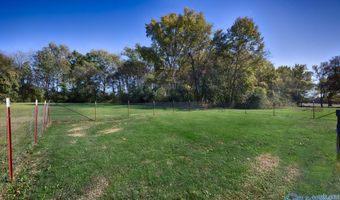 167 Henry Bayless Rd, Ardmore, TN 38449