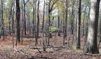 BIG HORN Trail, Augusta, WV 26704