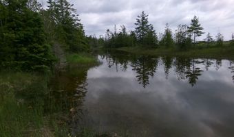 3305 El Cajon Beach Rd, Alpena, MI 49707