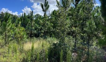 Lot 1 50th Ave, Bell, FL 32619