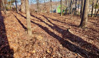 Lake Vista Drive lot 37, Baneberry, TN 37890