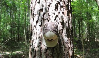 00 Pinola Braxton Rd, Braxton, MS 39044