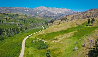 712 Beasley Crk, Bozeman, MT 59715