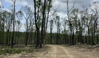 State Hwy N Tract G, Ava, MO 65608