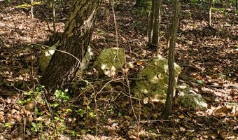 County Road 118, Annapolis, MO 63620