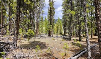 700 Looney Ln Lot 0, Alma, CO 80420