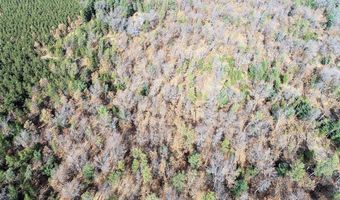 10 Acres County Road C, Arkdale, WI 54613