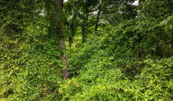 Mat Morrow Road, Arab, AL 35016