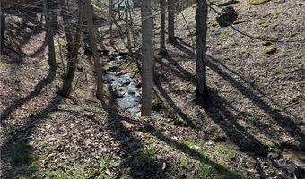 92 Frank Fork Rd, Alkol, WV 25501