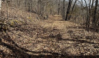 000 County Road U-105A, Ava, MO 65608