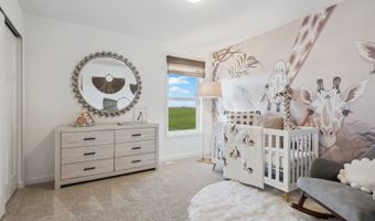 734 151st Ln NW Plan: Donovan, Andover, MN 55304