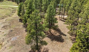 841 Beaver Creek Dr, Bayfield, CO 81122