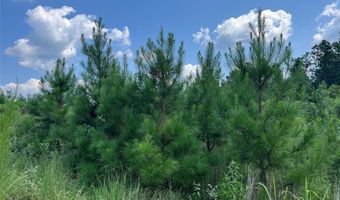 0 Ellis Jones Rd, Bienville, LA 71008