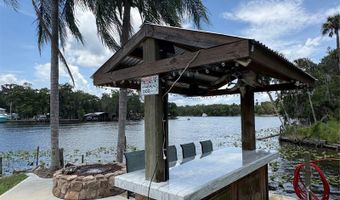 1645 SPRING GARDEN Dr, Astor, FL 32102