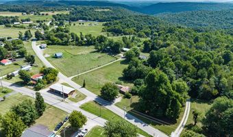 414 Old Celina Rd, Allons, TN 38541