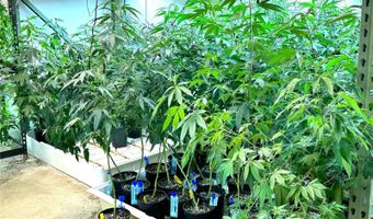 1905 Pope Valley Ranch Rd, Beulah, CO 81023