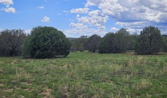 Birdwing Lane, Clay Springs, AZ 85923