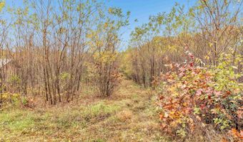 4006 ELKINS Rd, Amherst, WI 54406