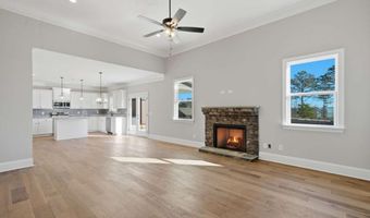 603 Madison Ct, Ball Ground, GA 30107